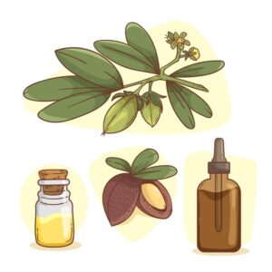 Jojoba