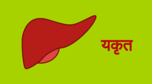 यकृतची (लिव्हरची) काळजी
