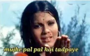 पावसाच्या सरींनी