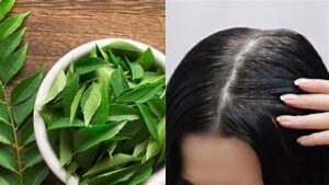 कढीपत्त्याचे आरोग्यदायी फायदे