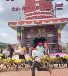 जत तालुक्यातील विविध