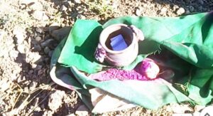 जत परिसरातील घडामोडी