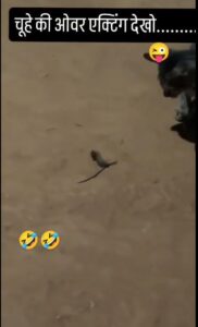 mouse overacting viral video