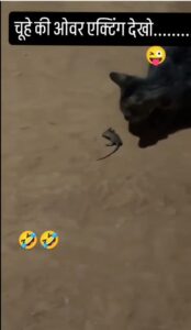 mouse overacting viral video