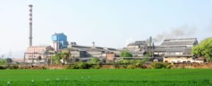 साखरेच्या दराचा इतिहास