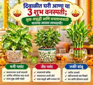 दिवाळी