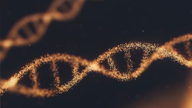 डीएनएचे संरक्षण