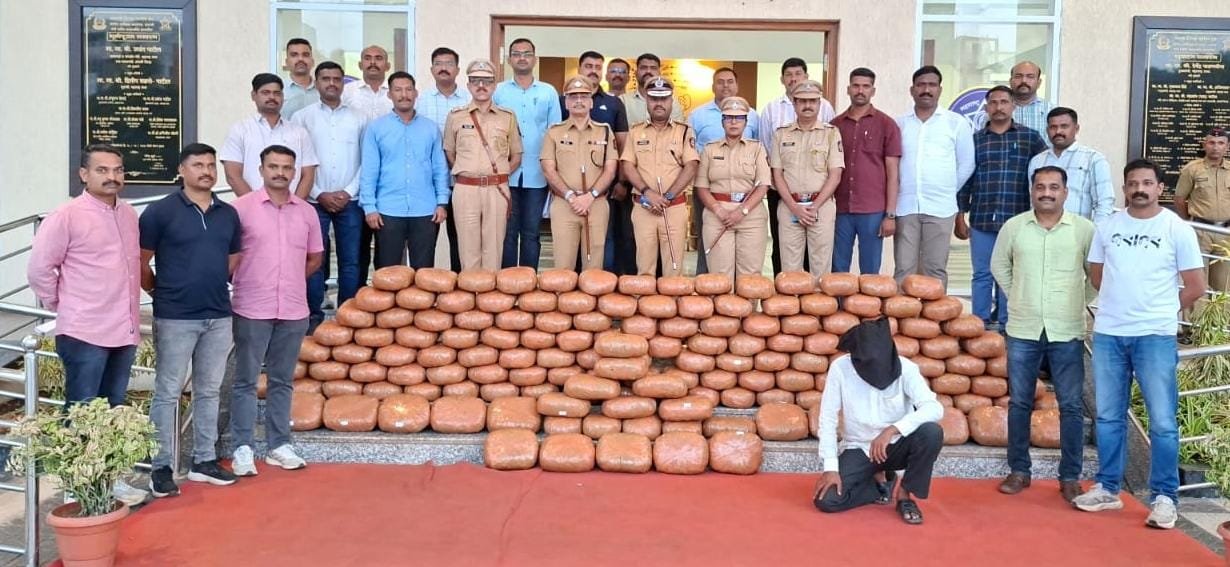 सांगलीत 300 किलो गांजा जप्त